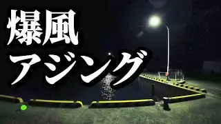 過酷な冬アジング雨雪＆爆風でもクサい系のワーム使っとけば起死回生【ナイトアジング】