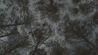 kareem lofty - fr3sh (slowed and reverb)