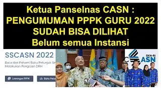 KETUA PANSELNAS CASN 