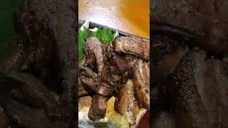 Charcoal grilled Japanese jidori chicken