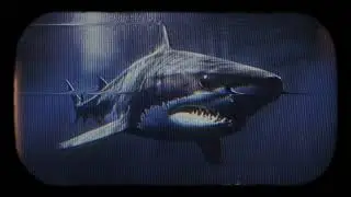 Medvin - SHARK (Official Lyric Video)