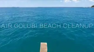 Seven Clean Seas - Beach Cleanup in Indonesia