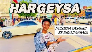 NOLOSHA CASARKII EE DHALINYARADA HARGEYSA