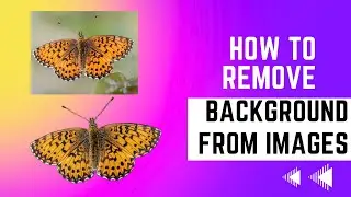 How to remove background from any image [Python + CLI]