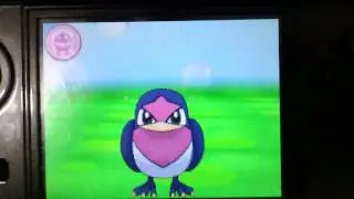 Taillow Pok&eacute;mon-Amie Pok&eacute; Recreo  ポケパル スバメ