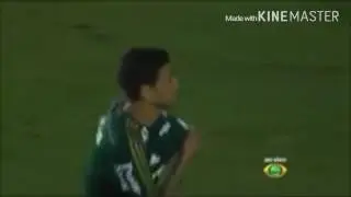 Cleiton Xavier ⚫ palmeiras ⚫ 2015/2016