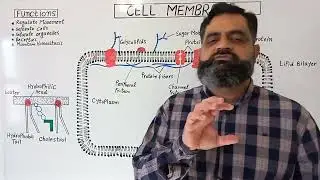 Cell Membrane English medium @prof.masoodfuzail