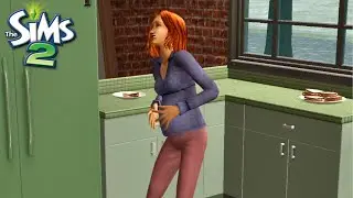 The Sims 2 Cutscene - Giving Birth