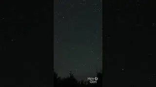 Which is more trees or stars?  #didyouknow #education #facts #shortform
