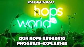 OUR HOPS  BREEDING PROGRAM- EXPLAINED ! HOPS WORLD VLOG 9