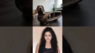 top ten cld offecers and their doggy table#cld #cld #daya #abhijeet#purvi#shorts