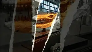 #viralvideo #battlefield #houstontx #automobile #museum #museumonline