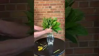 Join Our Flower Classes! flowerschool101.com