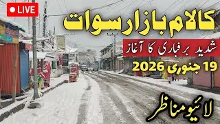 #swat Kalam live snowfall today | malamjaba snowfall today | #snow in malamjaba | Kalam snowfall