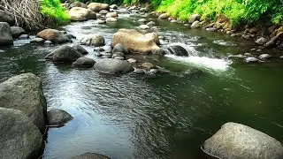 Fast River Rush for Deep Focus, Mental Clarity, and Energy Alignment with Pure Natural Stream Flow