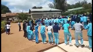 GATERO GIRLS FUN OUTDOOR ACTIVITIES
