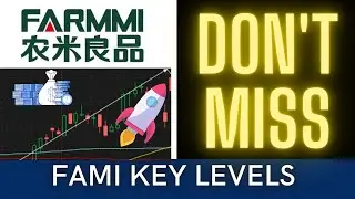 Penny Stocks To BUY NOW? | FAMI Stock Price Update |