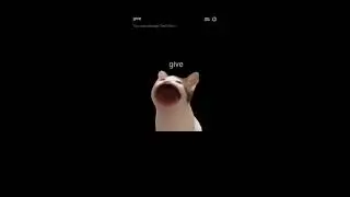pop cat get rickroll?