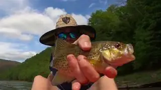 Memorial Day 2020 Fishing in Clinton County PA - Part 2
