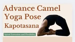 Yoga - Backbending Yoga||Back flexibility|| Advance Yoga ||Ustrasana||Camel Pose|| उष्ट्रासन
