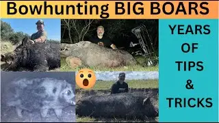 How to Bowhunt Feral Hogs (BIG BOAR TRICKS AND TIPS)
