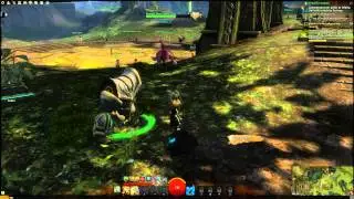 Guild Wars 2 Asura Character Creation/Starting Area + Ranger
