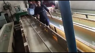Aluminium anodizing Colour Process How do aluminium anodizing processing kaise karte hain