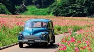 Gruchoty &ndash; reaktywacja Flipping Bangers 02x04 Morris minor   lektor pl