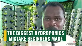 Part 3: The Biggest Hydroponics Mistake Beginners Make (I Did It Too)