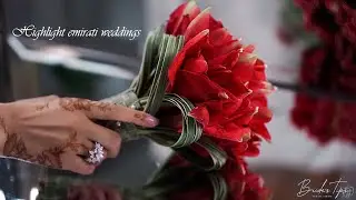 Highlight emirati weddings