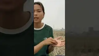 Bebo YouTube Channel Someone made a copy right claim.
