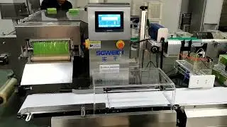 Accurate Inline Checkweigher for Carton Packaging Checkweigher Solution