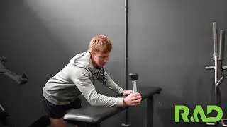 Dumbbell Wrist Rotation