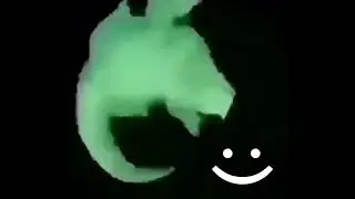 (LAST CAPCUT VIDEO) a Crocodile spin :)