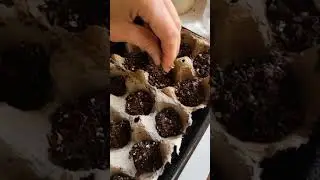 How to Make an Easy Seed Starting Tray for Free!