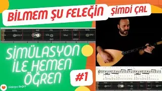 1 - SİMÜLASYONLA ÖĞREN - BİLMEM ŞU FELEĞİN TÜRKÜSÜ #bağlamadersi  #sazdersi #sazkursu #bağlama #saz