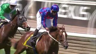 Profiteer - The Schweppervescence Plate, Melbourne Cup Day