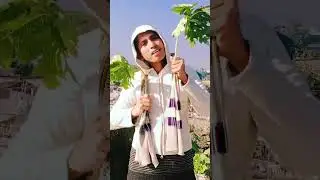 Na Na Meri Han Ban Gayi 💚 #nana #nanasong #nanashort #nanavideo #nanareels #nanashort #shorts #song