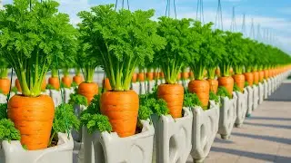 От подвесных бутылок до роскошной фермы по выращиванию моркови на балконе — высокоурожайное город...