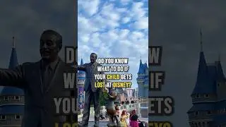 What To Do If Your Child Gets Lost At Disney!