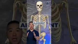 Can a chiropractic adjustment make you taller?