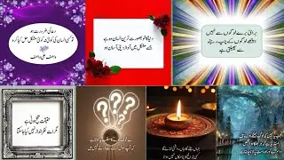 New Islamic Quotes | Aqwal e Zareen |Golden Words| Deeni Baatie | Best Urdu Quotes