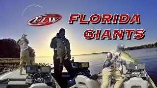 2020 FLW PRO Circuit - Harris Chain | Florida GIANTS!