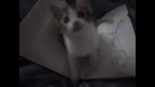 вернется??