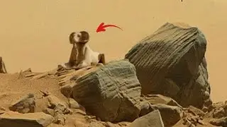 Exploring The Red Planet: Mars Most Beautiful Landscapes On Sol: 1308