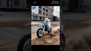 A cat on Motorad
