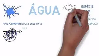 Componentes químicos da célula