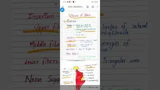 #Muscles of Back #trapezius #origin #insertion #nerves #muscle #anatomy #anatomyvideos #ytshort #yt