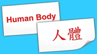 Flash Card | English & Mandarin, 英中雙語 | 002 Human Body 人體