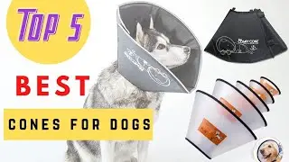 Top 5 Best Cones For Dogs Review 2021